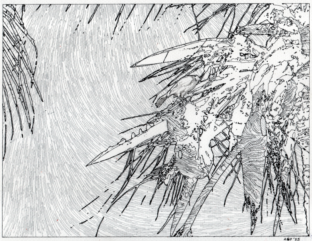 Cover Image for Palm Trees